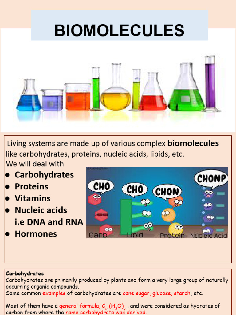 Understanding Biomolecules: Carbohydrates | PDF | Nucleotides ...