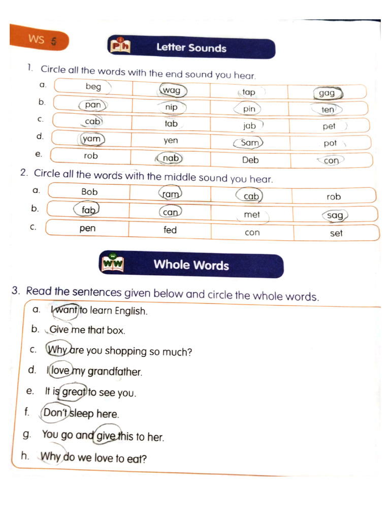 Unit 4 English CW and HW | PDF