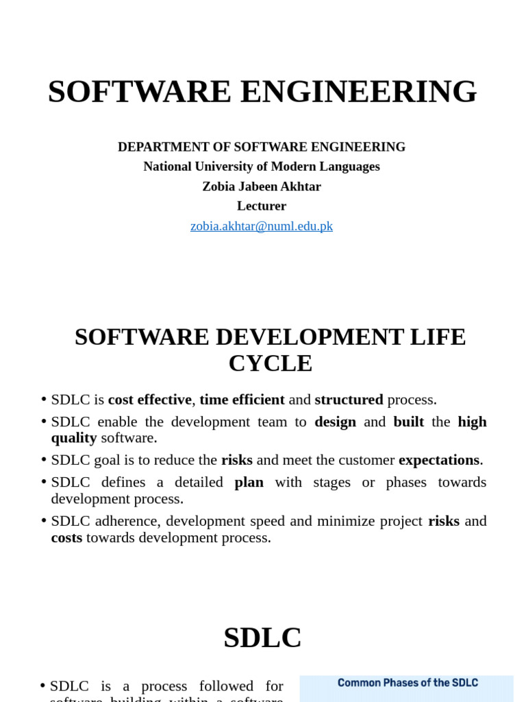 Understanding the Software Development Life Cycle | PDF | Software ...