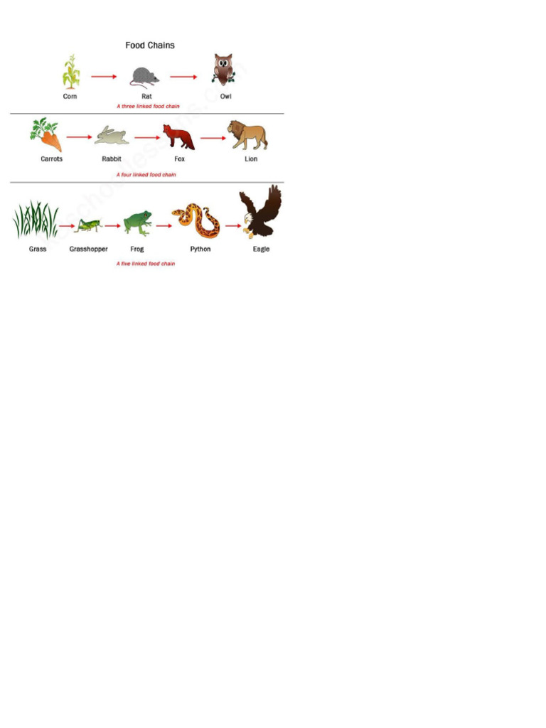 Print Bio | PDF