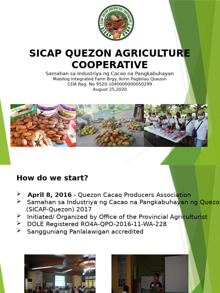 SICAP Quezon Agriculture Cooperative Overview | PDF | Cocoa Bean ...