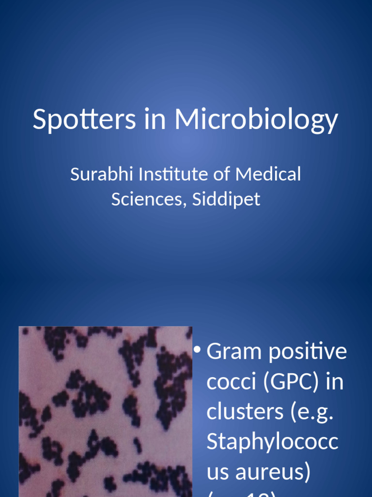 Microbiology Spotters Guide Overview | PDF | Pseudomonas Aeruginosa ...
