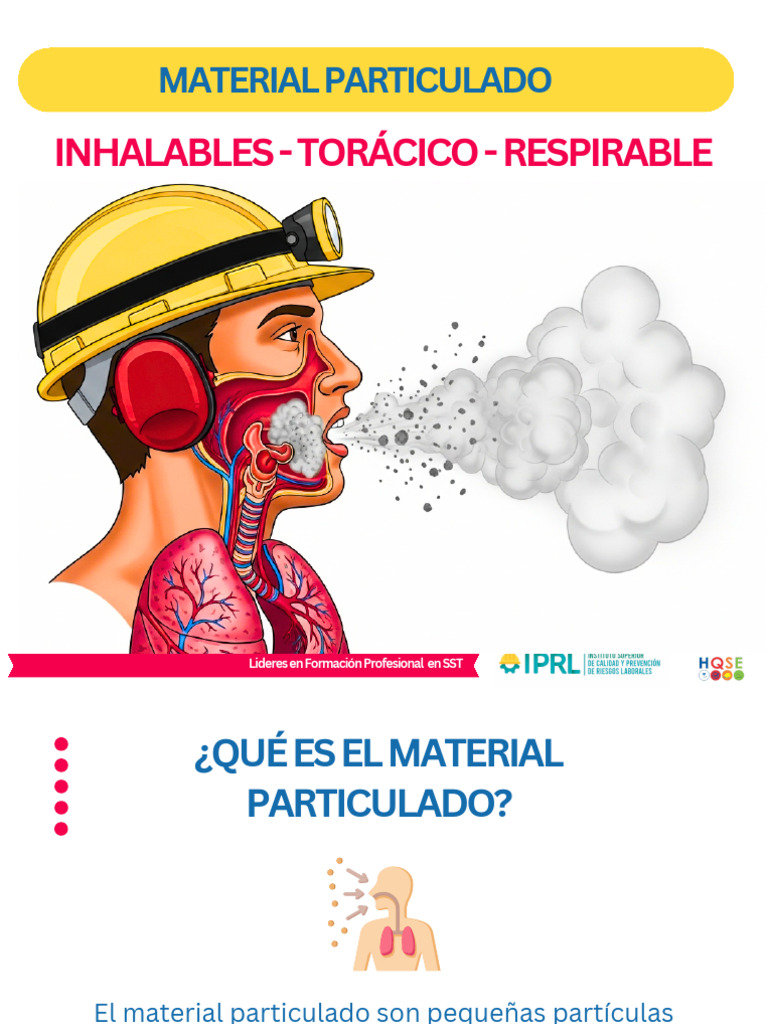 Material Particulado: Tipos y Riesgos | PDF | Partículas | Sistema ...