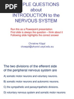 Nervous System - Quiz