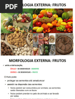 Classificação dos Frutos e Tipos | PDF