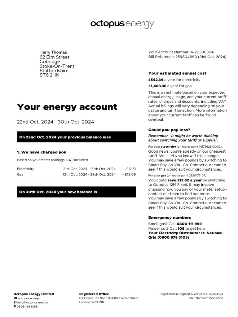 Octopus Energy Utility Bill 2025 | PDF