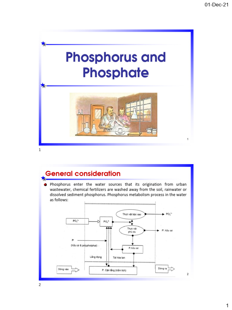 Phosphorus and Phosphate in Water Analysis | PDF | Phosphorus | Phosphate