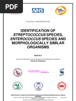 Download Identification of Streptococcus Species Enterococcus Species and Morphologically Similar Organisms by Gloom87 SN93399199 doc pdf