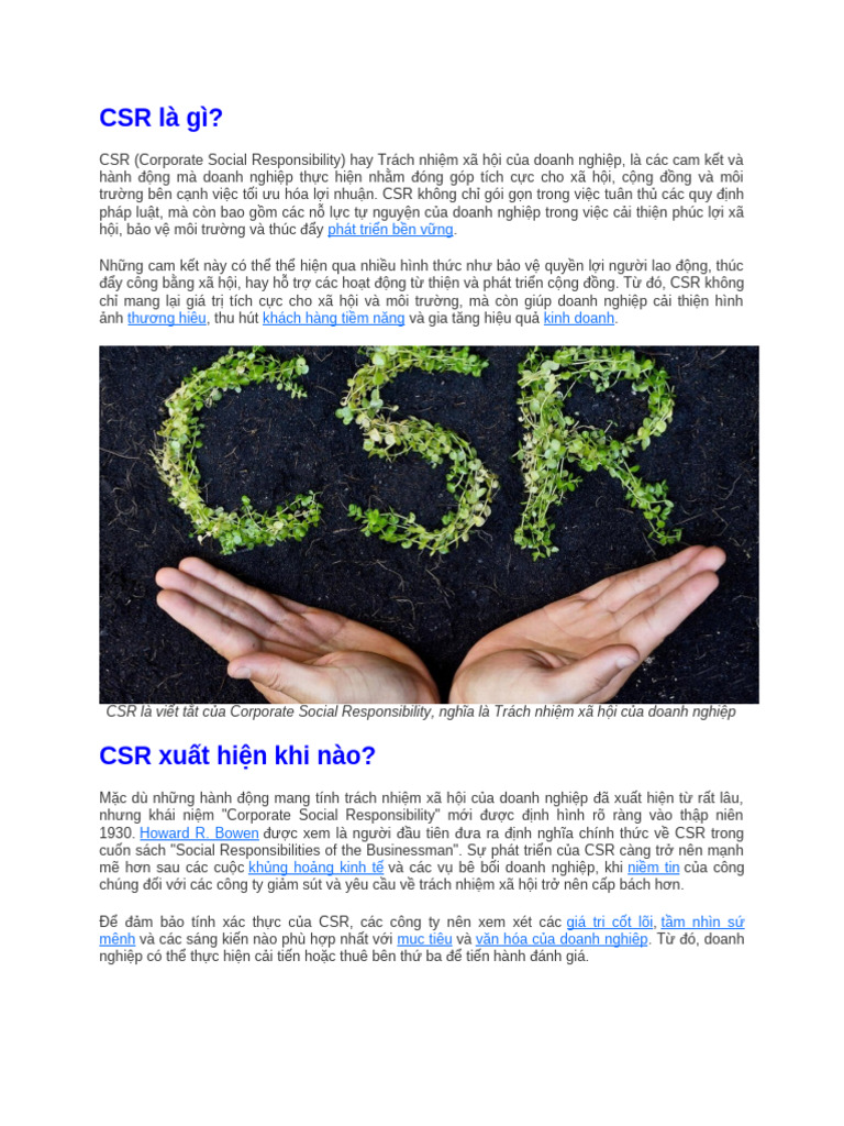 CSR Là Gì | PDF