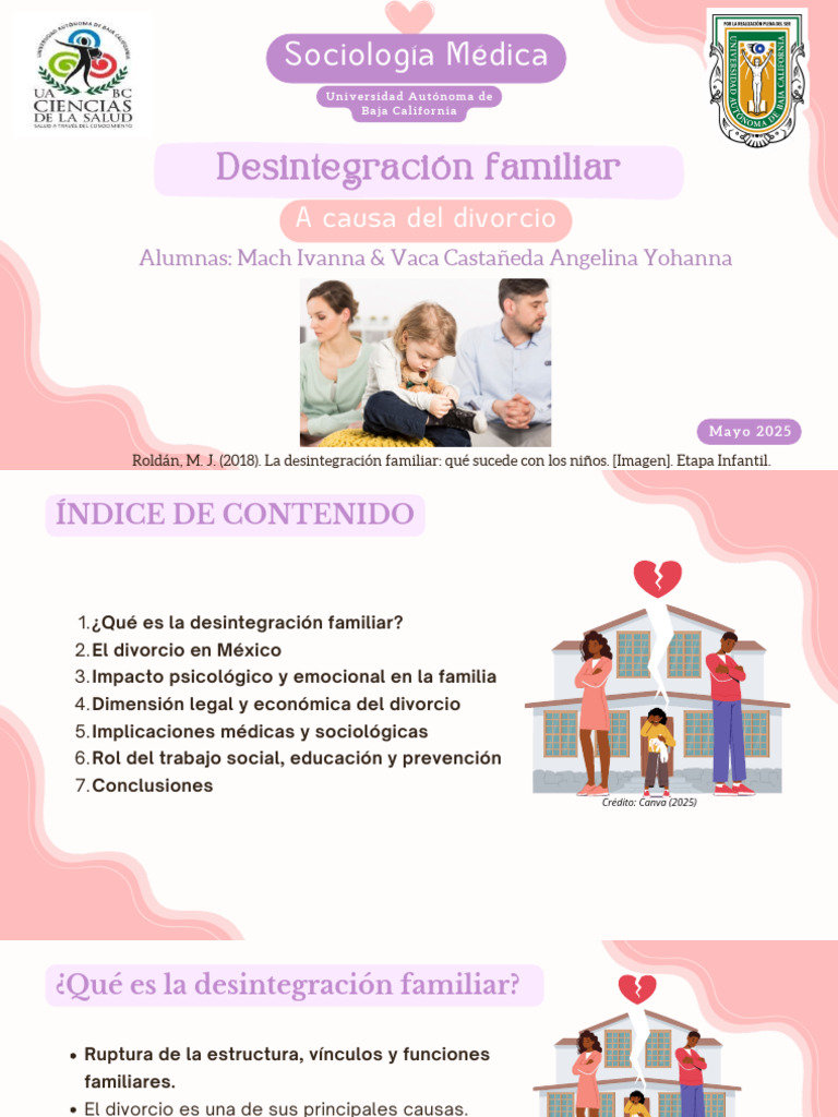 Impacto del Divorcio en la Familia | PDF | Divorcio | Depresión (estado ...