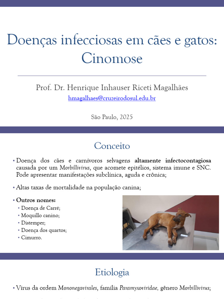 Doenças Infecciosas em Cães: Cinomose e Parvovirose | PDF | Vírus | Gatos