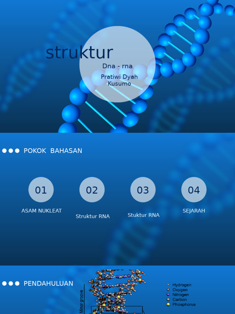 Struktur Dna Rna | PDF