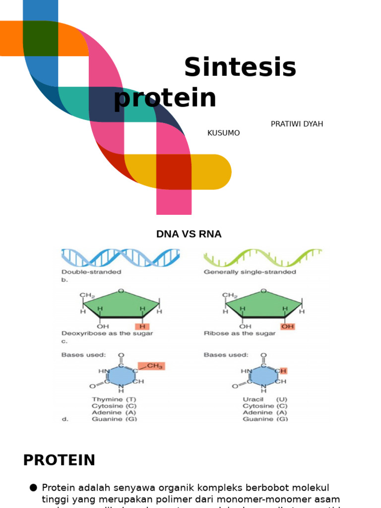 Sintesis protein | PDF