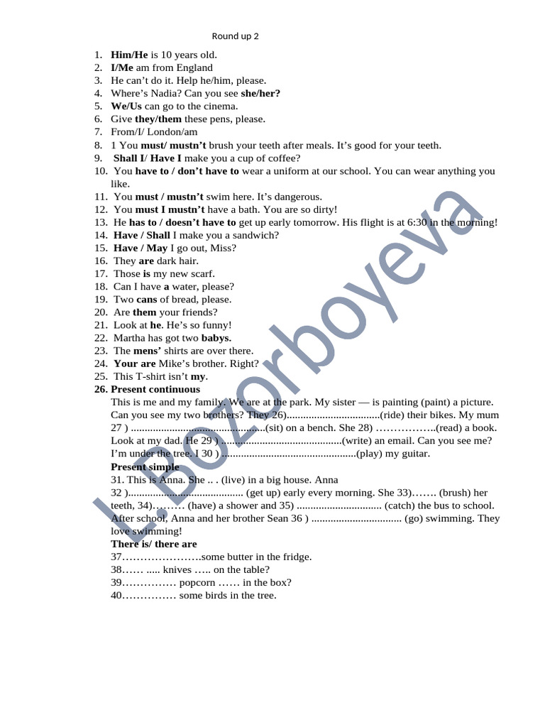 English Grammar Exercises for Beginners | PDF