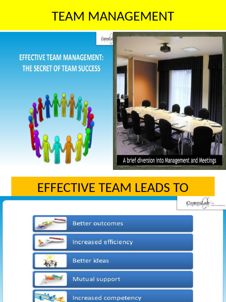 Effective Team Management Strategies | PDF