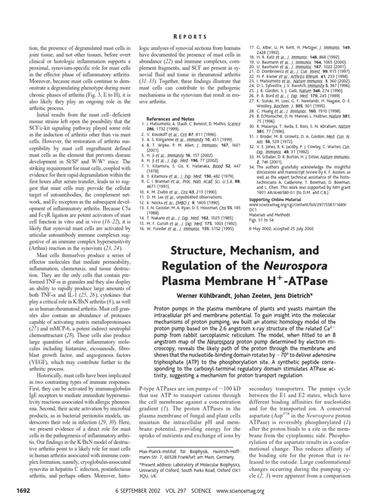 Role of Mast Cells in Inflammatory Arthritis | PDF | Protein Domain ...