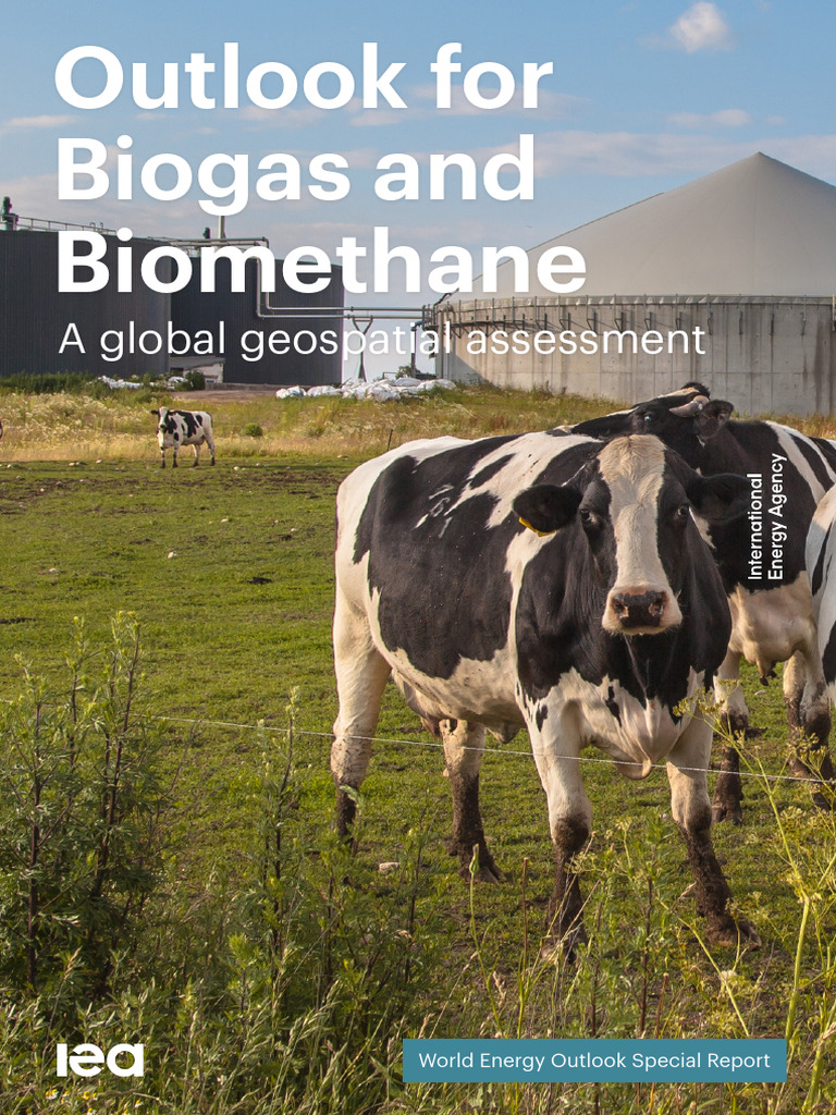 Global Biogas and Biomethane Outlook | PDF | Biogas | Anaerobic Digestion