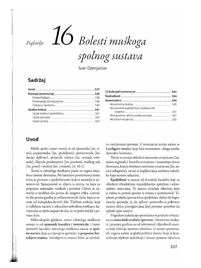 Maski Polov Sistem | PDF