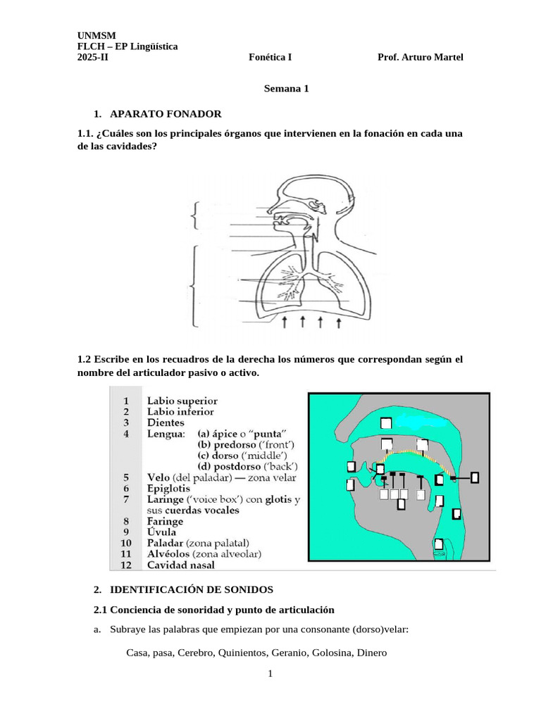 Semana 1 - Sesión 2 | PDF | Fonética | Voz humana