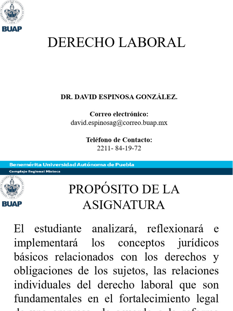 Introducción al Derecho Laboral en México | PDF | Salario | Derecho laboral