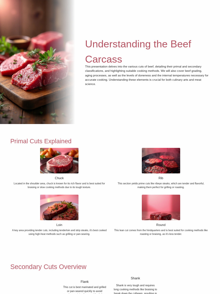 Understanding The Beef Carcass | PDF | Beef | Steak