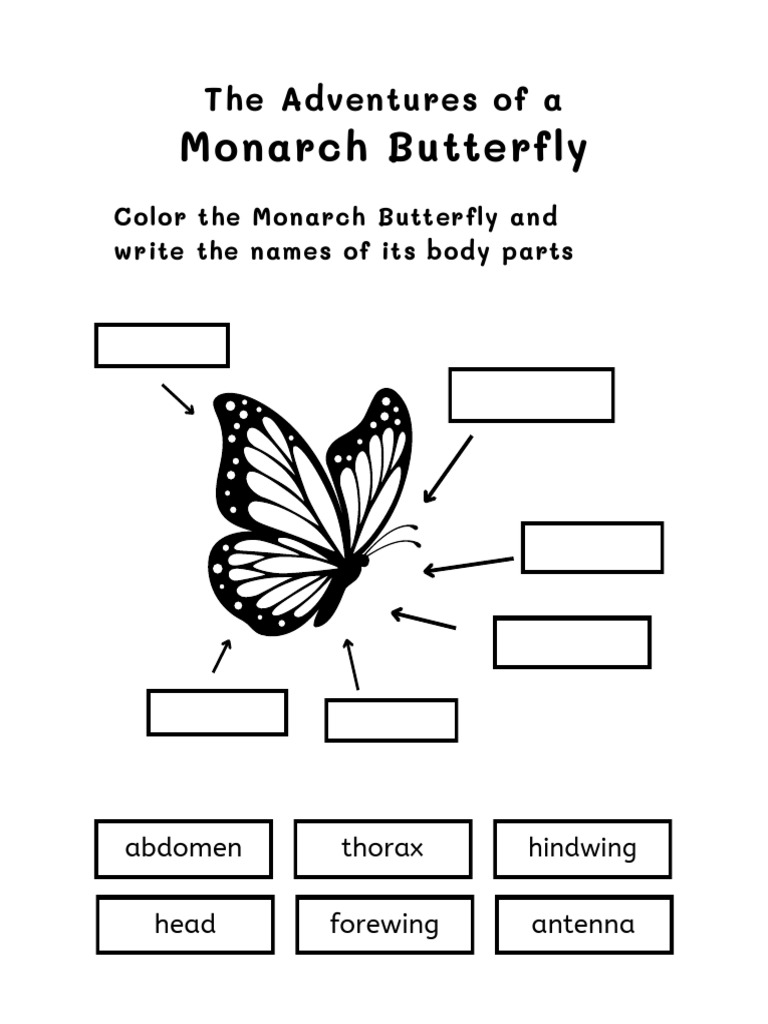 Monarch Butterfly Migration and Conservation | PDF