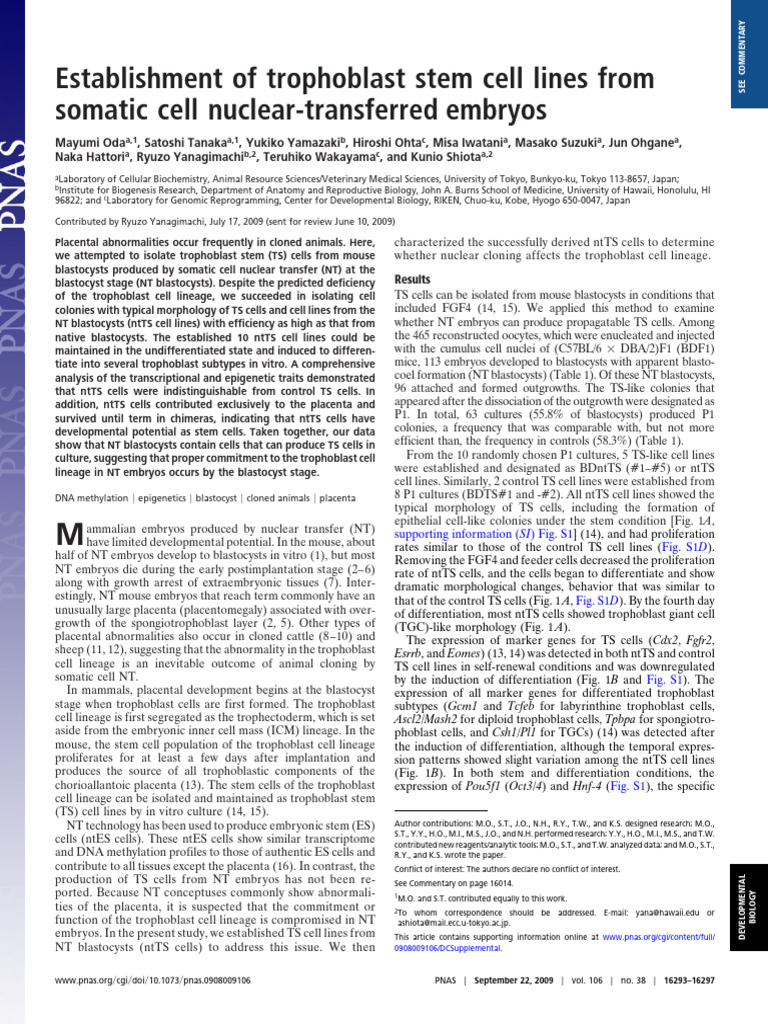 Establishment of Trophoblast Stem Cell Lines From | PDF | Cellular ...
