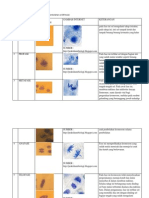 Hasil Pengamatan Mitosis Akar Bawang Putih