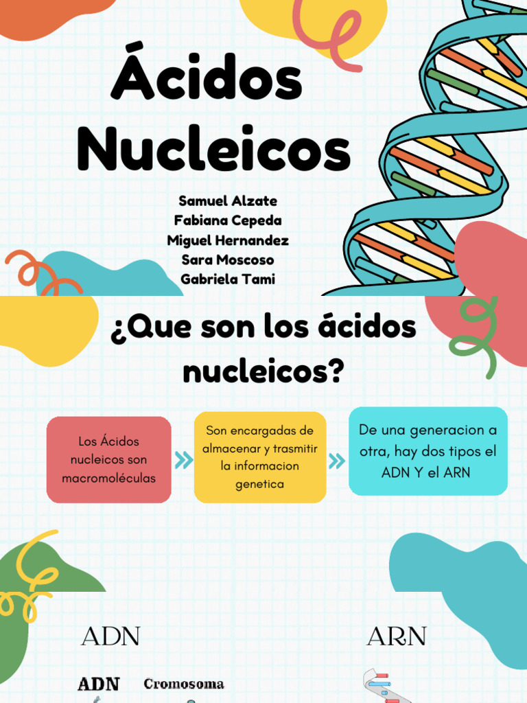 Acidos Nucleicos | PDF | Rna | Adn