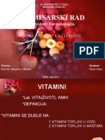 VITAMINI Seminar Ski Rad