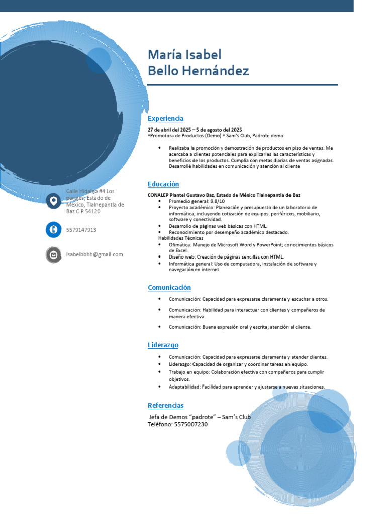 CV de María Isabel Bello Hernández | PDF | Informática | Software