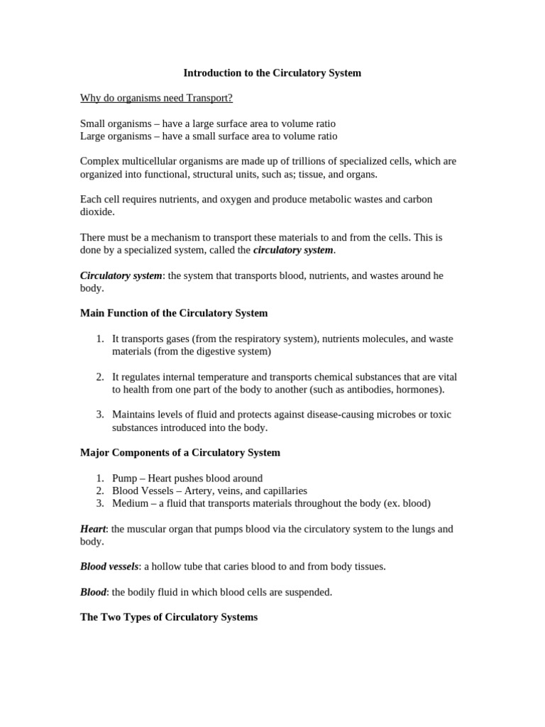 Overview of the Circulatory System | PDF | Circulatory System | Human Body