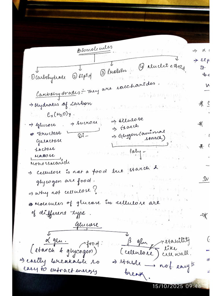Topper's Notes Biomolecules Zoo | PDF