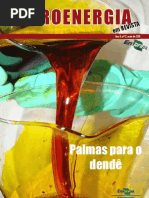 Revista_Agroenergia_ed2[1]