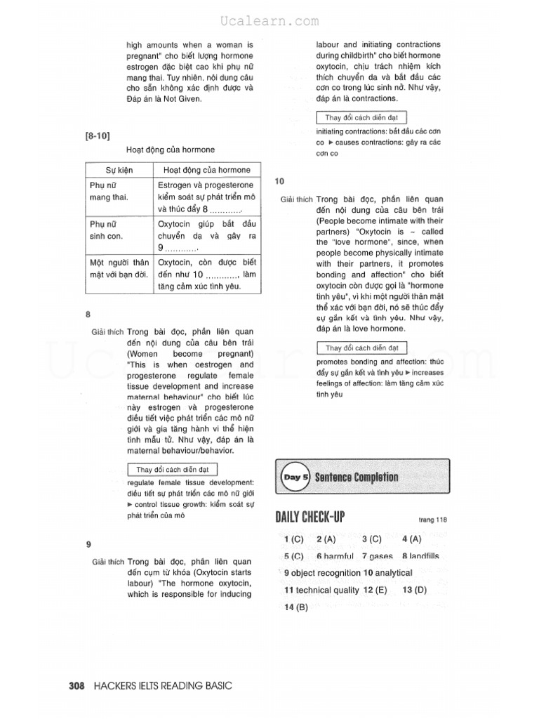 Đáp Án Basic 2 | PDF