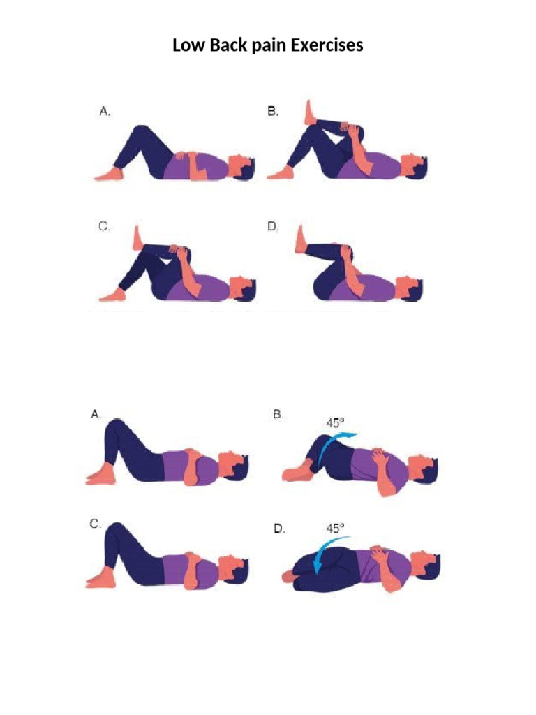 Low Back Pain Exercises | PDF
