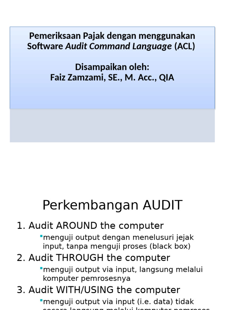 Audit Pajak dengan Software ACL | PDF