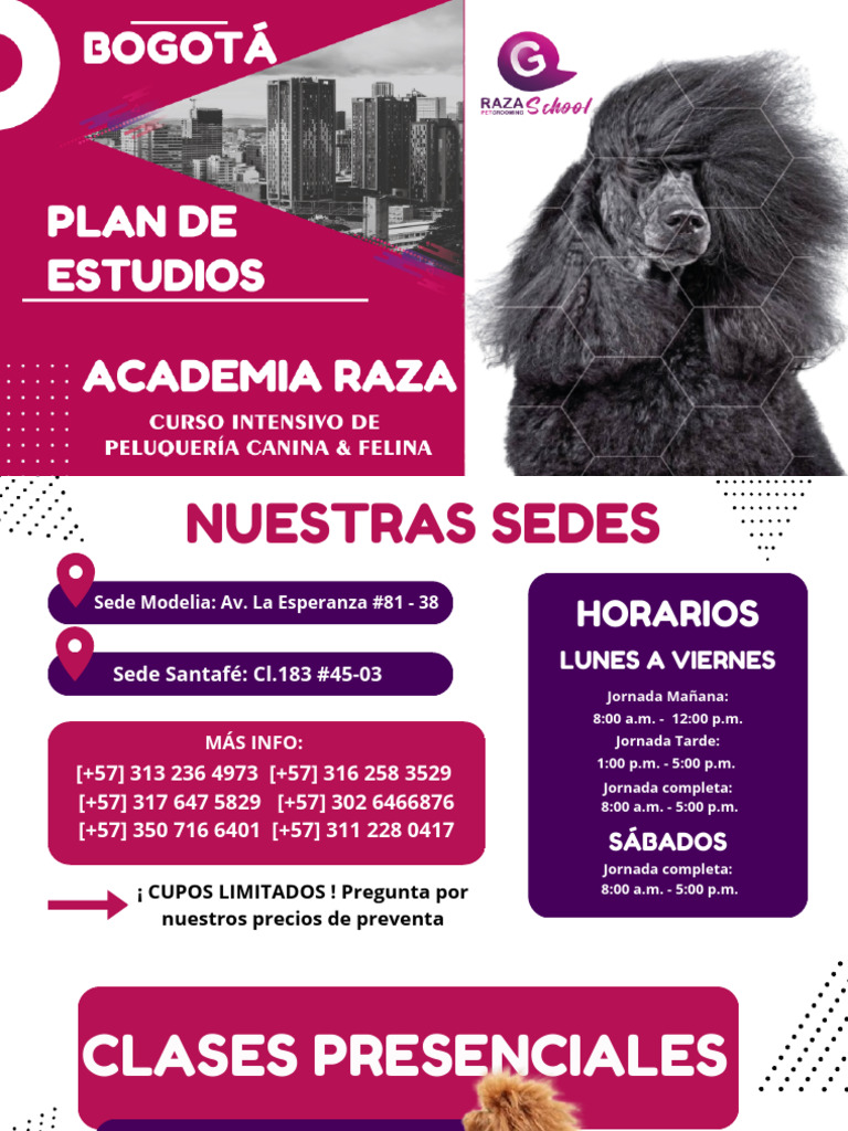 Plan - de - Estudios 2025 | PDF