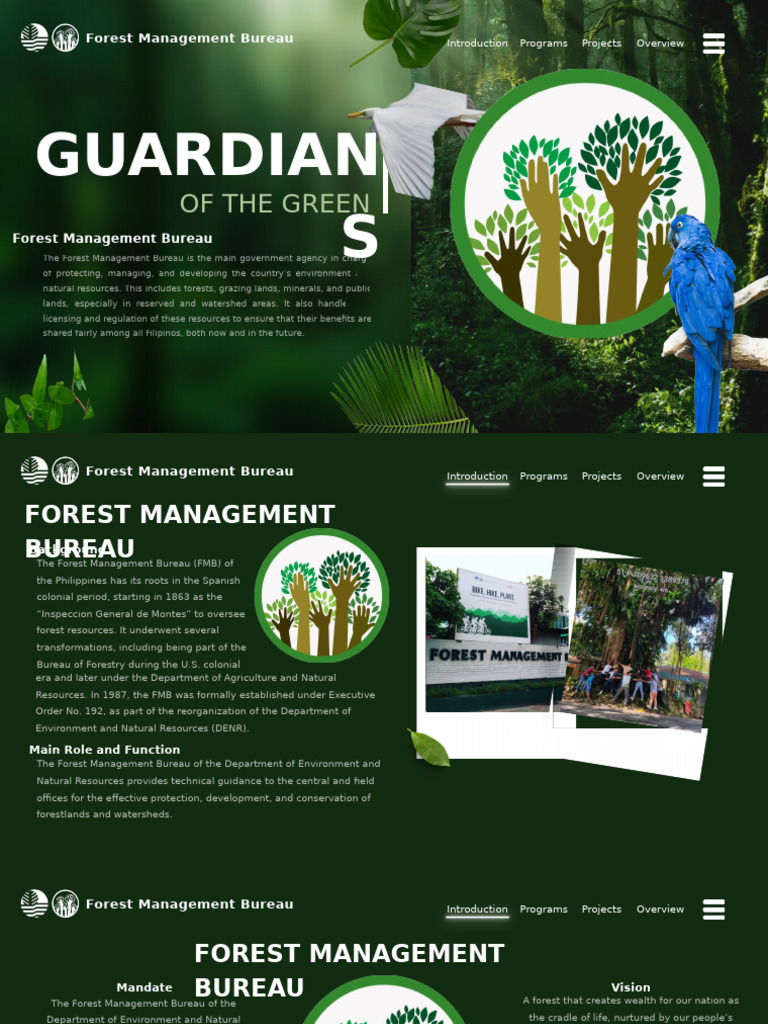 Forest Management Bureau Overview | PDF | Forest Management ...