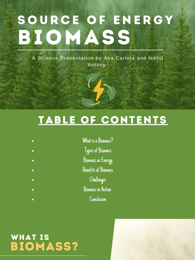 Biomass Energy: Benefits and Challenges | PDF | Bioenergy | Power Resources