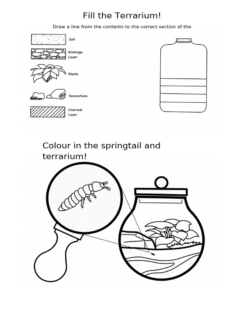 Terrarium Activities for Kids | PDF