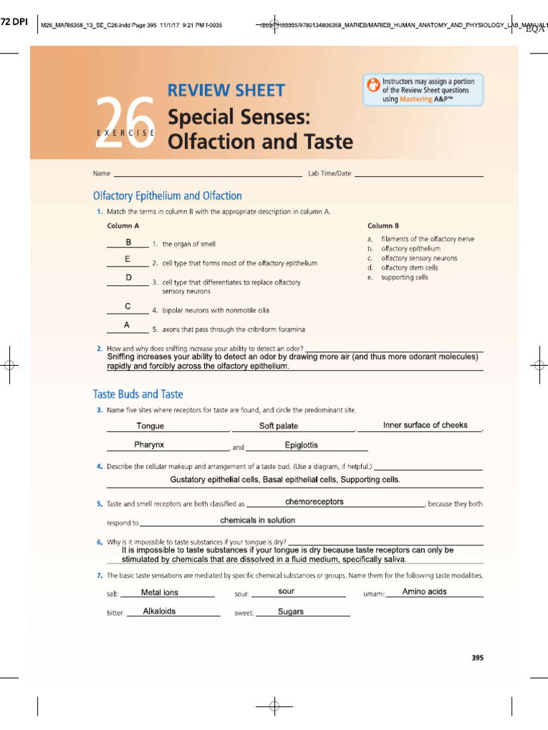 Exercise 26 Review Sheet | PDF