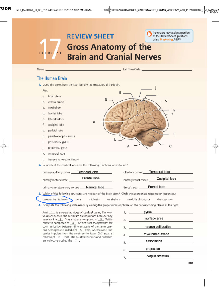 Lab Exercise 17 | PDF