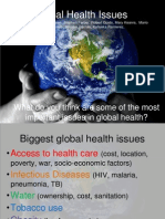 Global Health Issues: What Do You Think Are Some of The Most Important Issues in Global Health?