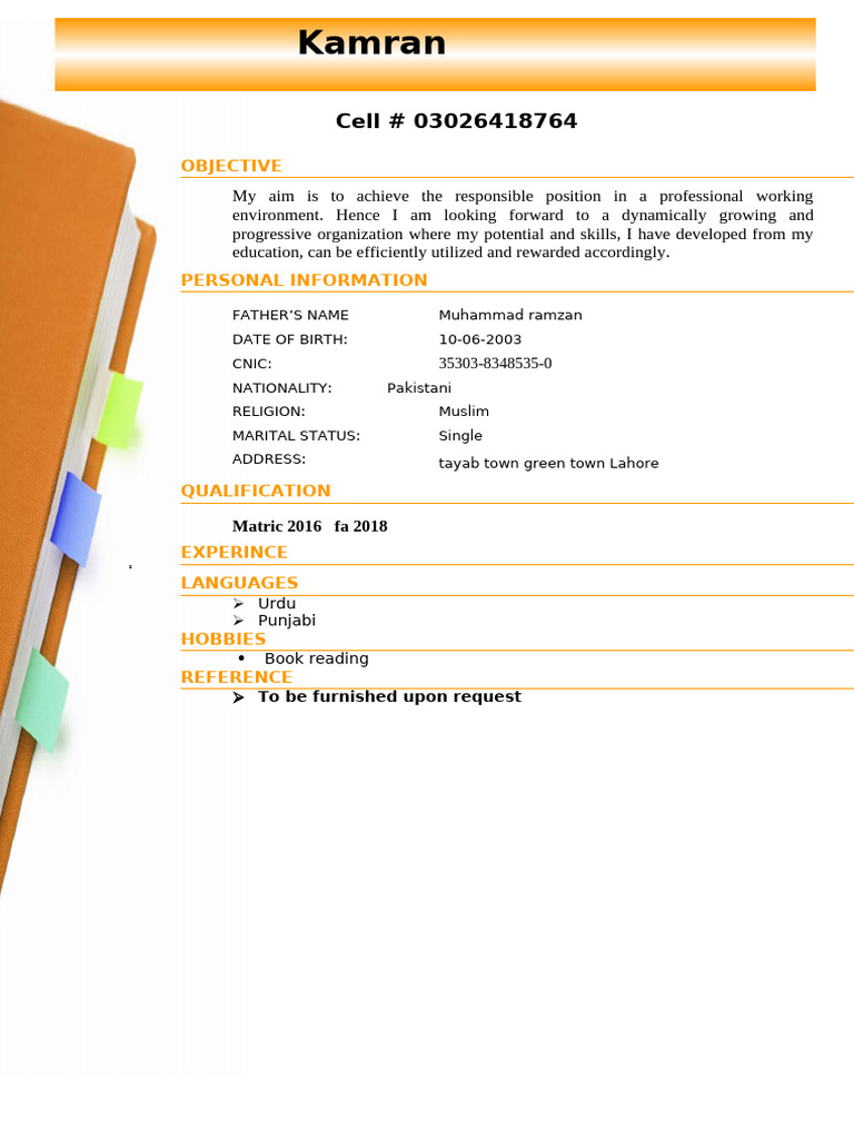 Professional Resume of Kamran | PDF