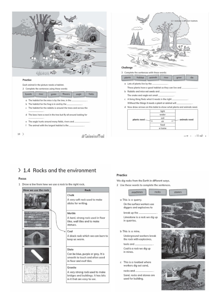 Science Workbook Unit 1 | PDF