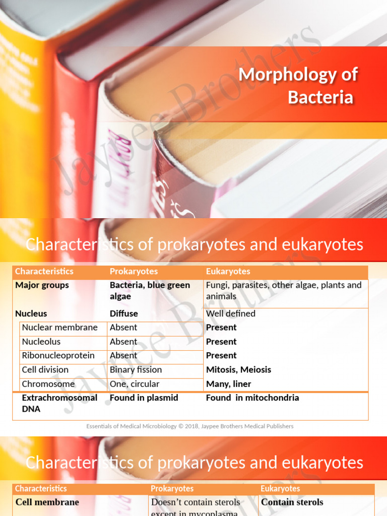 Bacterial Morphology and Staining Techniques | PDF | Staining | Bacteria
