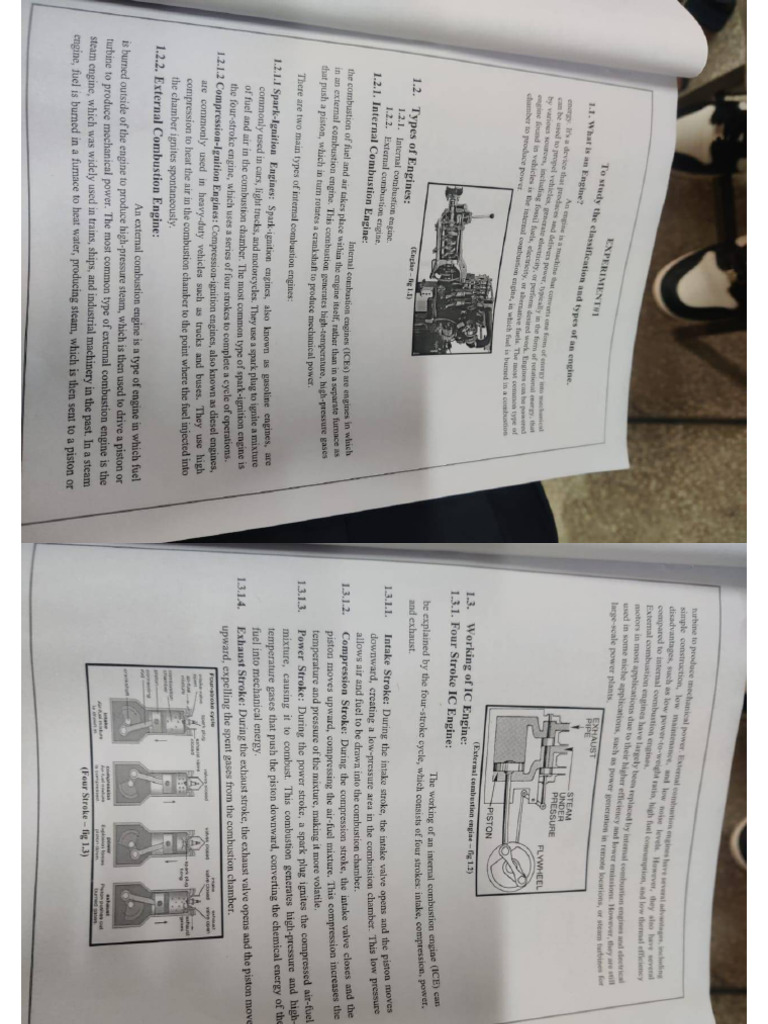 exp.1 and 2 | PDF