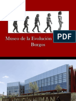 Museo Evolucion Humana