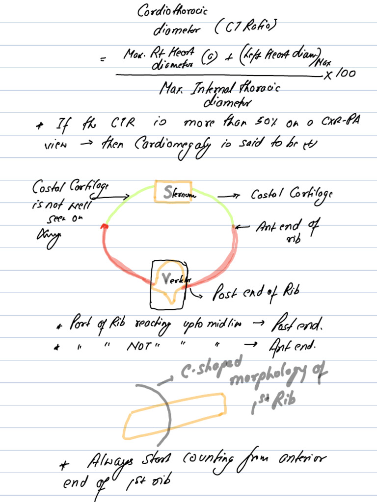 Note 28 Sep 2024 2 | PDF